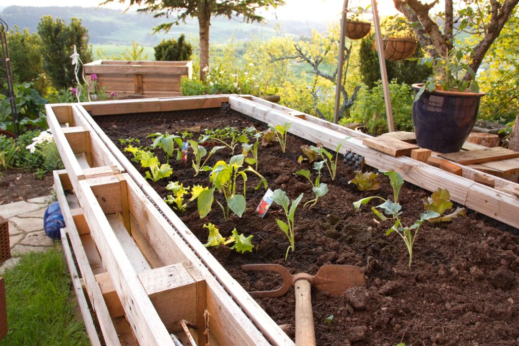Building a community garden with the Aldingbourne Trust